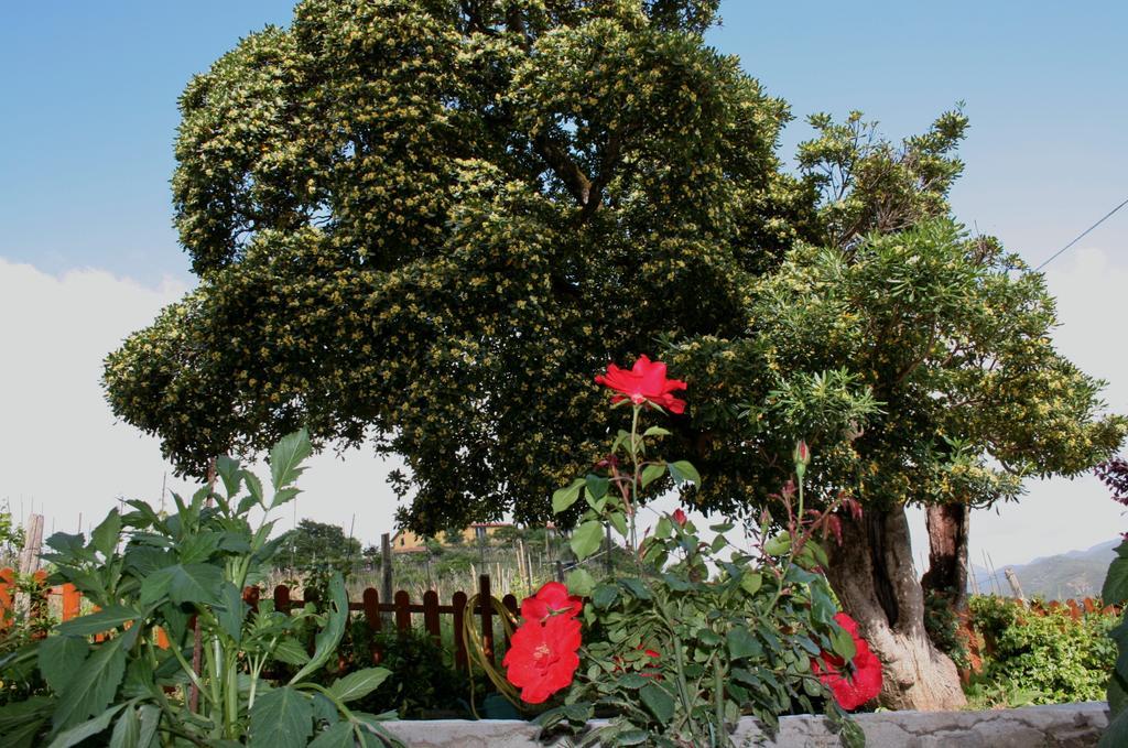 Cà de Pria Bed & Breakfast Casarza Ligure Bagian luar foto