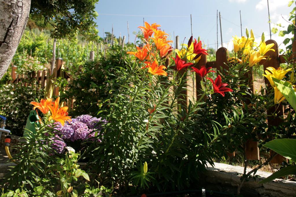 Cà de Pria Bed & Breakfast Casarza Ligure Bagian luar foto